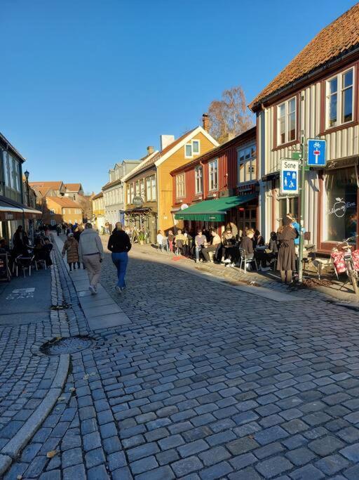 Hidden Gem Near The Old Town Bridge, 40M² Apt. Trondheim Exterior foto
